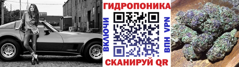 Где купить наркотики Алейск АМФ ЭКСТАЗИ ГАШИШ СК Бошки Шишки КОКАИН МЕФ